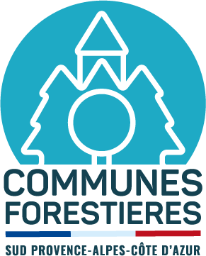 Logo COFOR