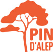 Logo Bâtir demain avec le Pin d'Alep