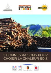 Document "2018 Plaquette 5 bonnes raisons bois énergie"