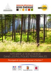 Document "2019 Guide Politiques territoriales bois énergie"