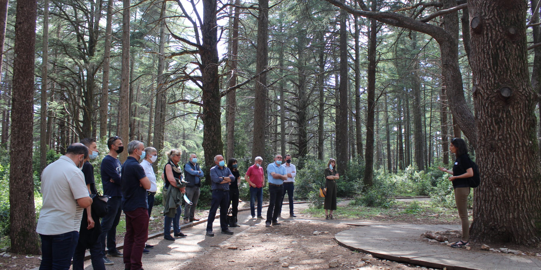 Visite de la forêt des cèdres du Petit Luberon, suite à l'AG des Communes forestières de Vaucluse du 3 juin 2021