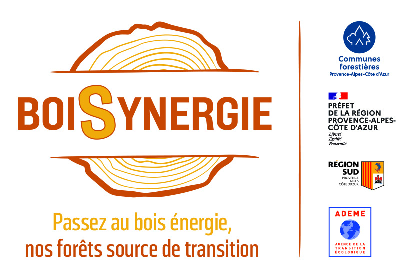 Logo BoiSynergie